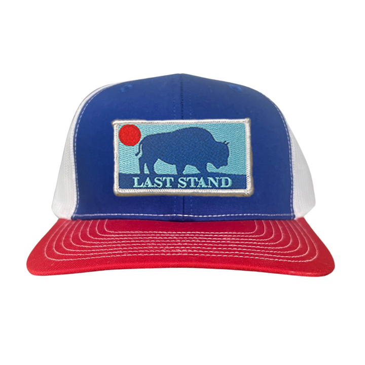 Last Stand Bison Sunset / Hats / 071 / MM