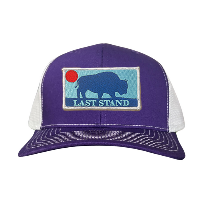 Last Stand Bison Sunset / Hats / 071 / MM