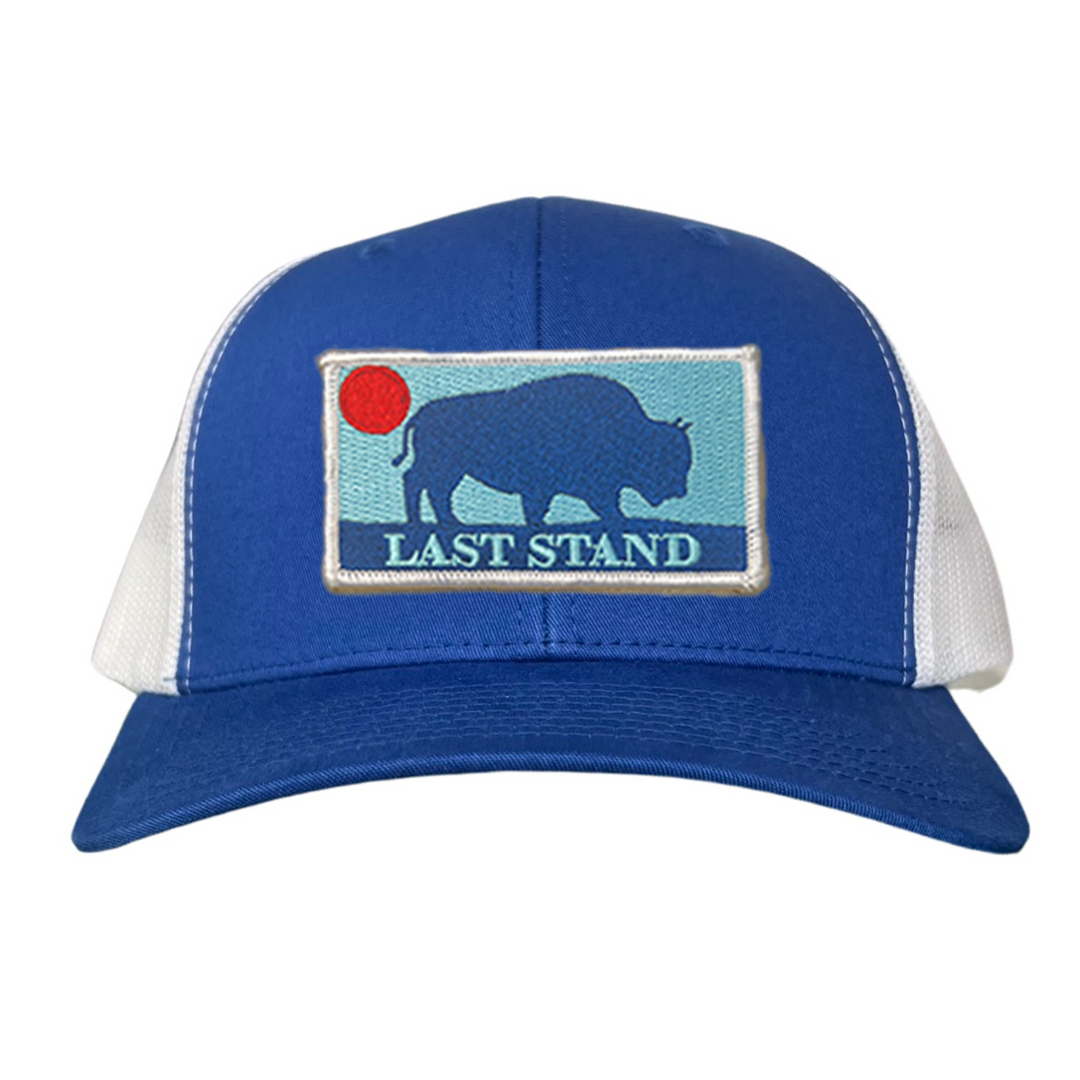 Last Stand Bison Sunset / Hats / 071 / MM