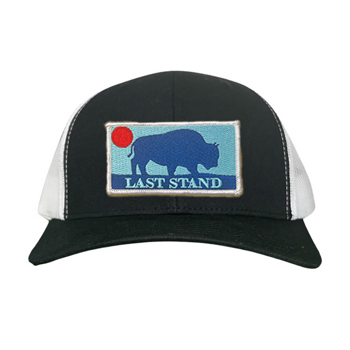 Last Stand Bison Sunset / Hats / 071 / MM