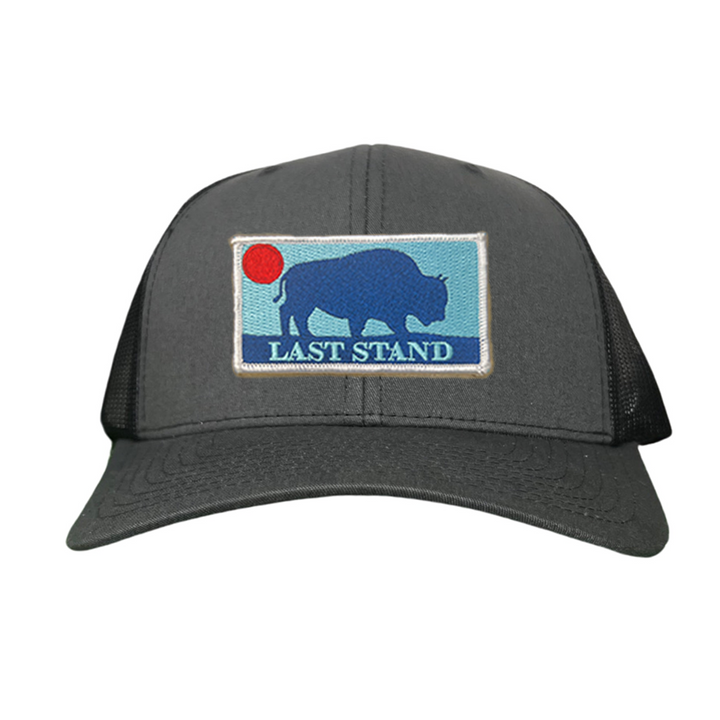 Last Stand Bison Sunset / Hats / 071 / MM