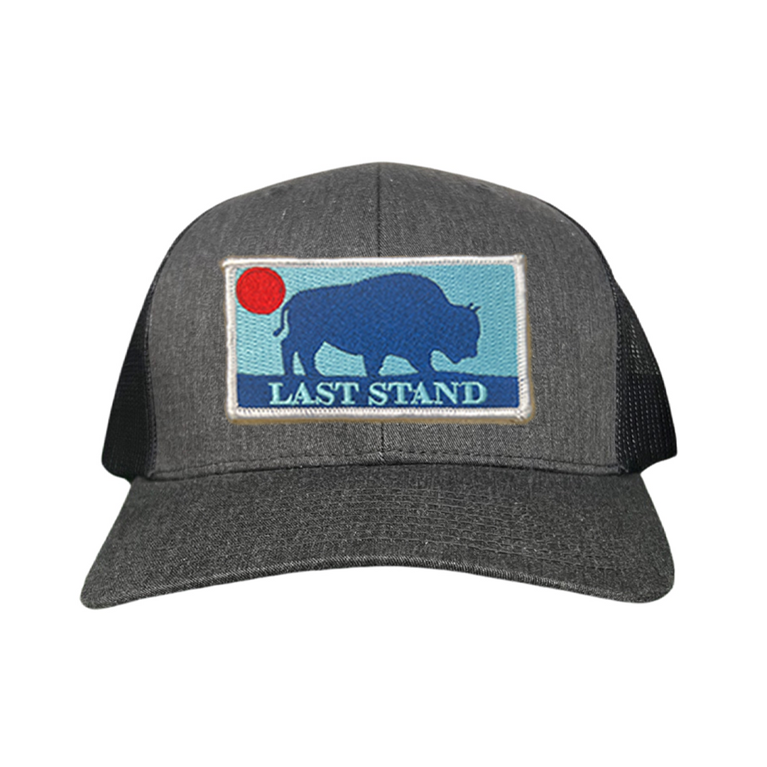 Last Stand Bison Sunset / Hats / 071 / MM