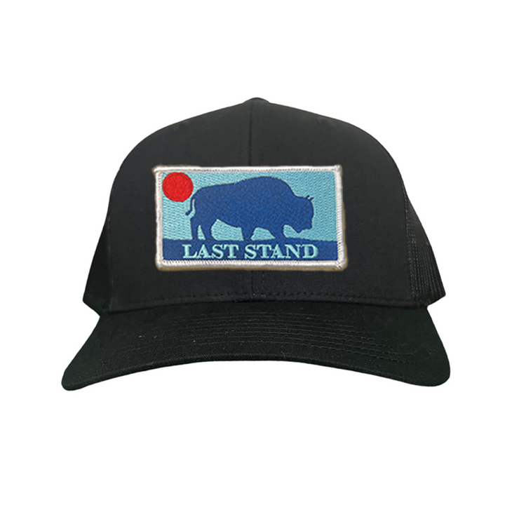 Last Stand Bison Sunset / Hats / 071 / MM