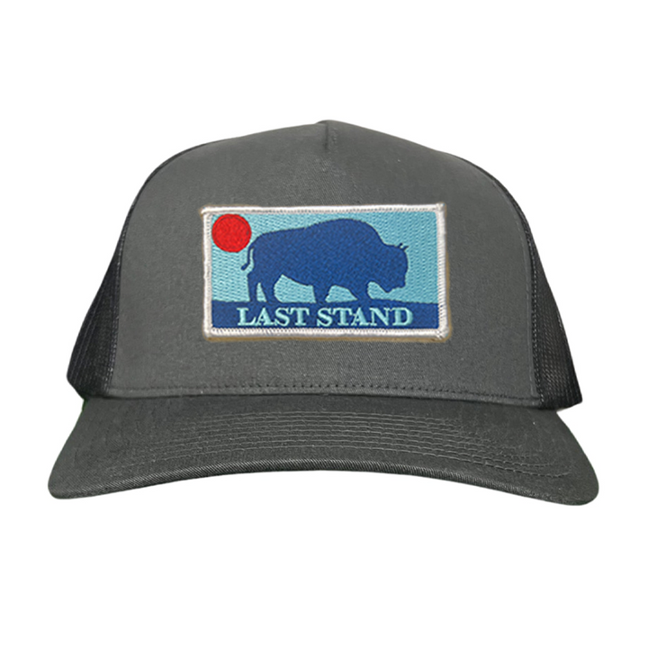 Last Stand Bison Sunset / Hats / 071 / MM