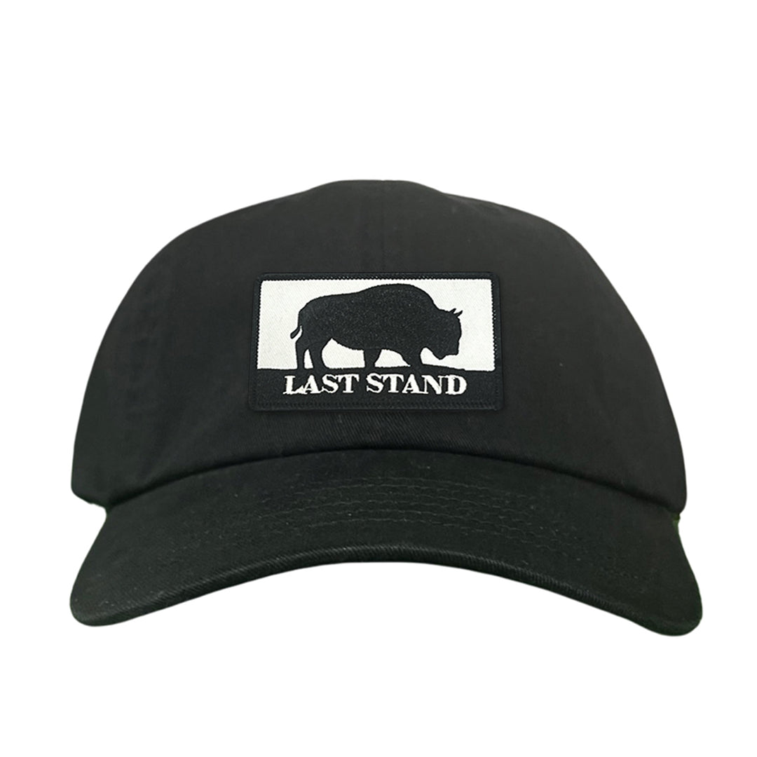 Last Stand Bison / Curved Bill Trucker - 006