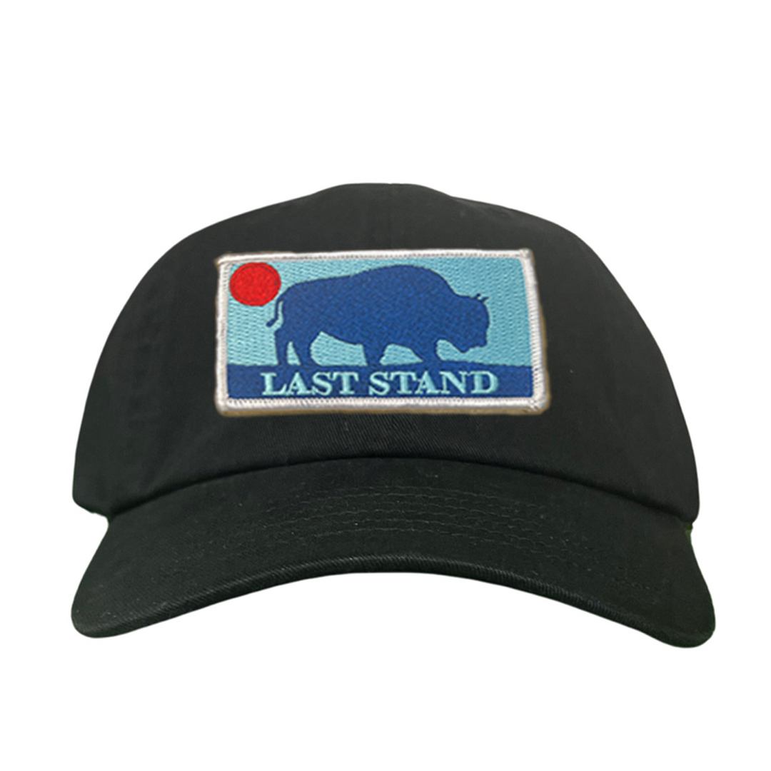 Last Stand Bison Sunset / Hats / 071 / MM