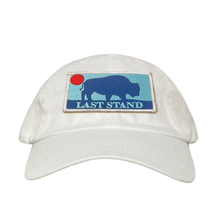 Last Stand Bison Sunset / Hats / 071 / MM