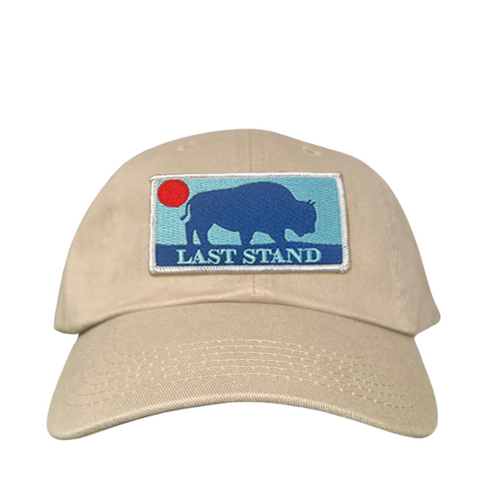 Last Stand Bison Sunset / Hats / 071 / MM