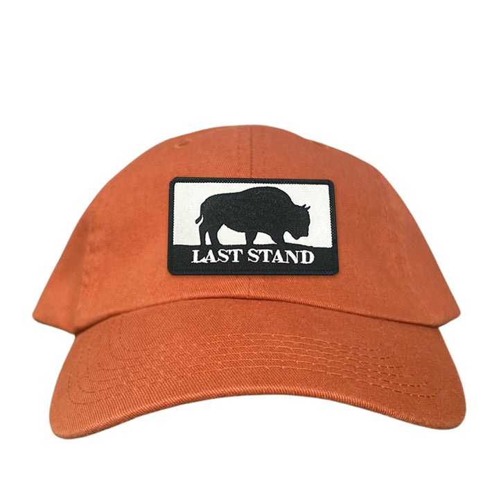 Last Stand Bison / Curved Bill Trucker - 006