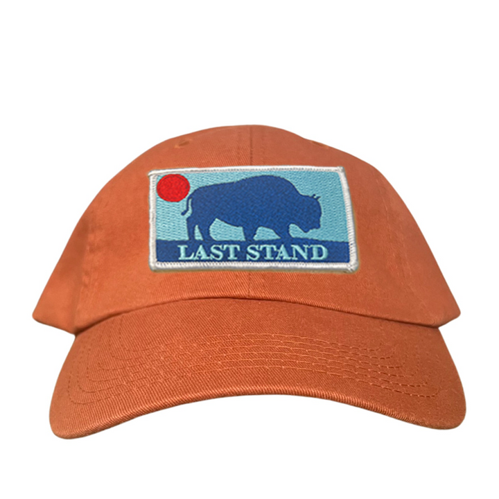 Last Stand Bison Sunset / Hats / 071 / MM