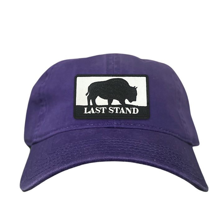 Last Stand Bison / Curved Bill Trucker - 006
