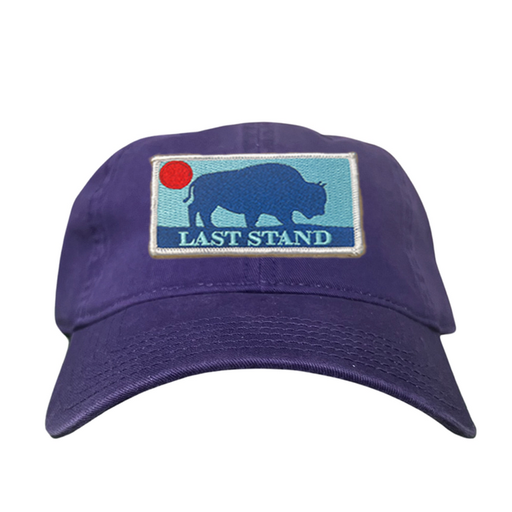 Last Stand Bison Sunset / Hats / 071 / MM