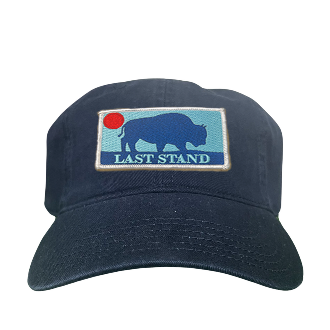 Last Stand Bison Sunset / Hats / 071 / MM