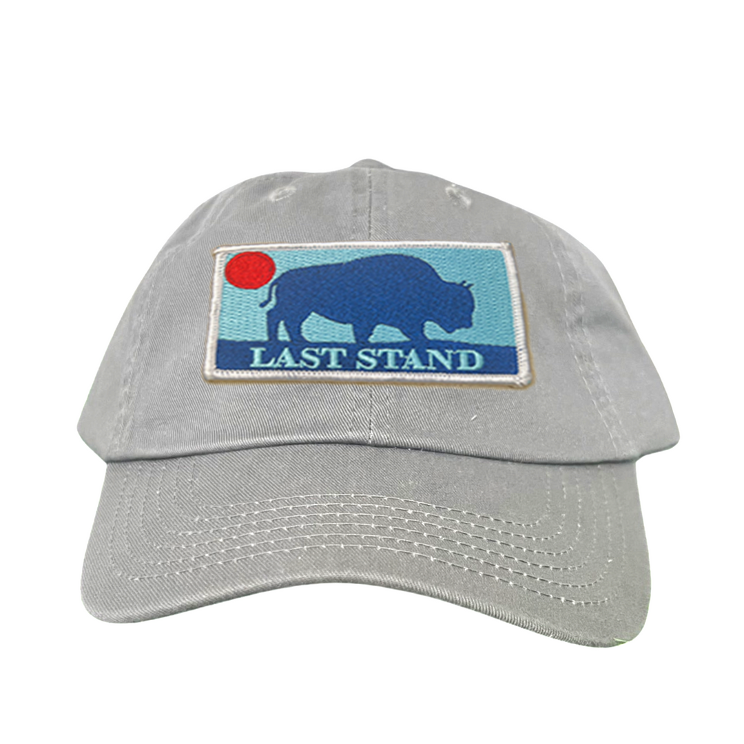 Last Stand Bison Sunset / Hats / 071 / MM