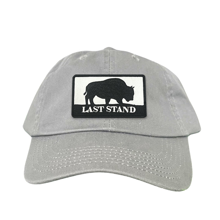 Last Stand Bison / Curved Bill Trucker - 006
