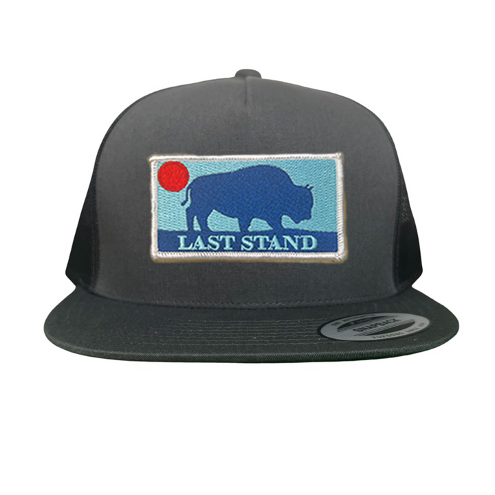 Last Stand Bison Sunset / Hats / 071 / MM