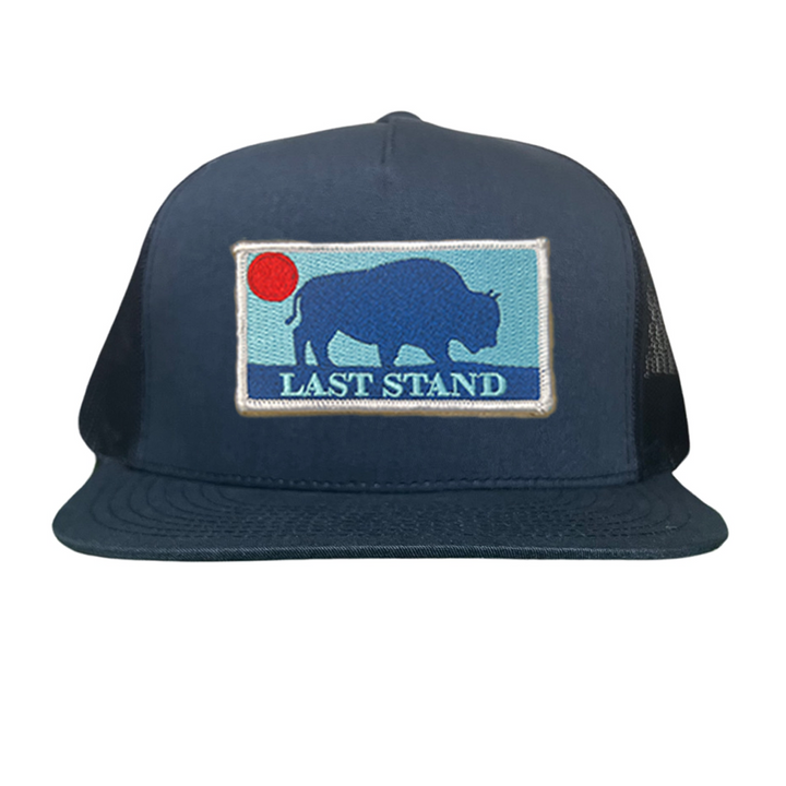 Last Stand Bison Sunset / Hats / 071 / MM