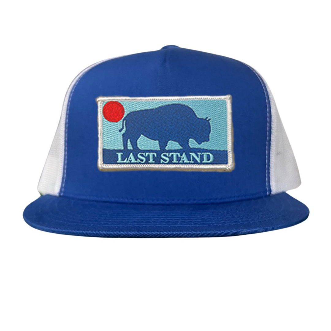 Last Stand Bison Sunset / Hats / 071 / MM