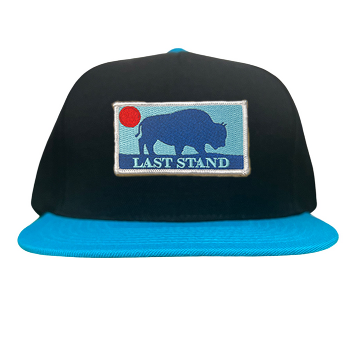 Last Stand Bison Sunset / Hats / 071 / MM