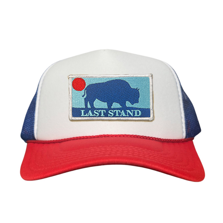 Last Stand Bison Sunset / Hats / 071 / MM