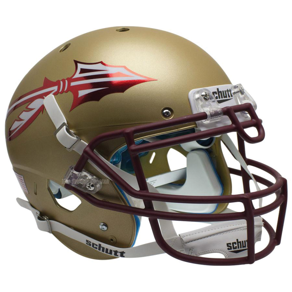 Florida State Seminoles College Football Collectible Mini Helmet - Picture Inside - FANZ Collectibles