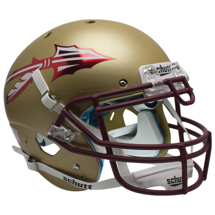 Florida State Seminoles College Football Collectible Mini Helmet - Picture Inside - FANZ Collectibles