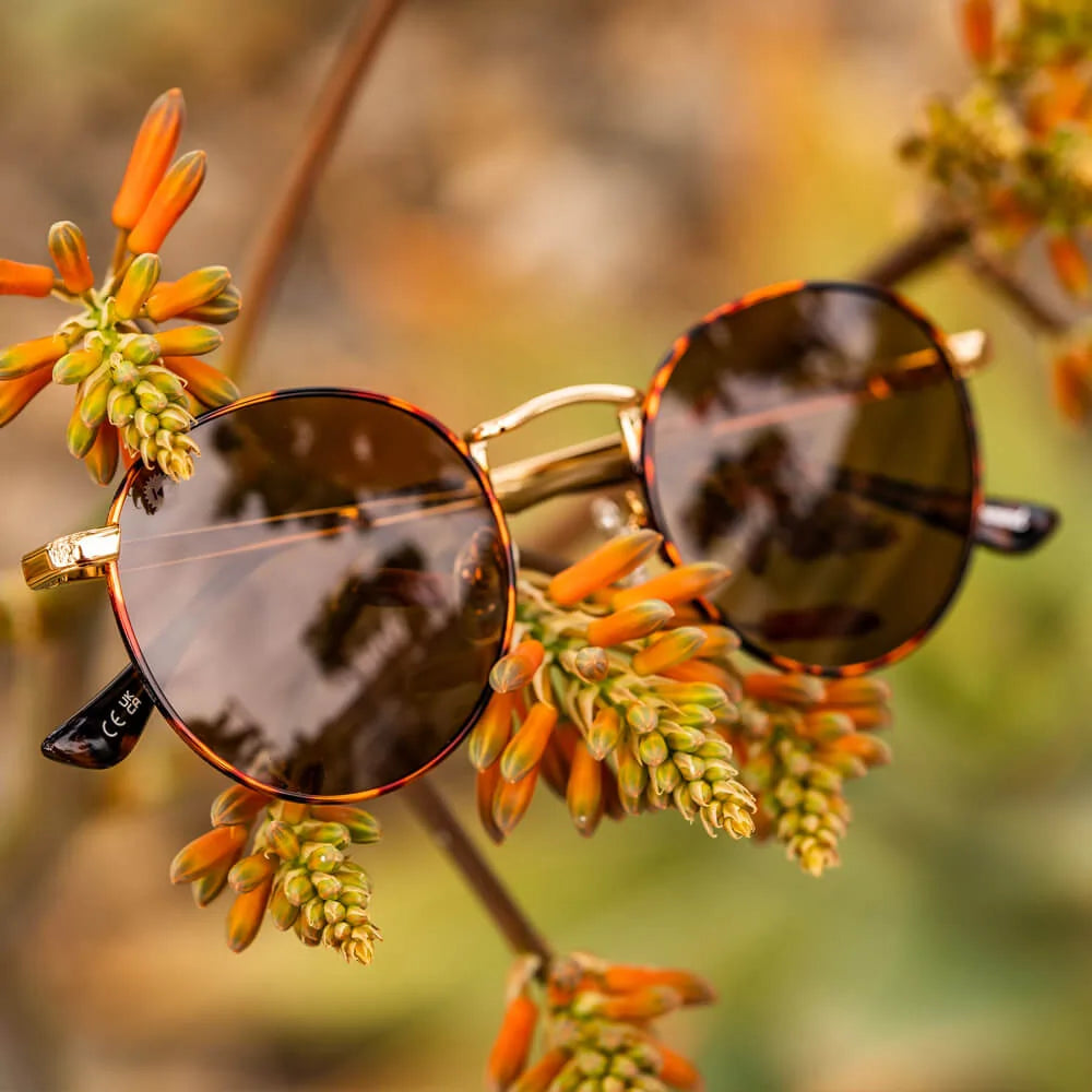 No Alibi Love & Haights