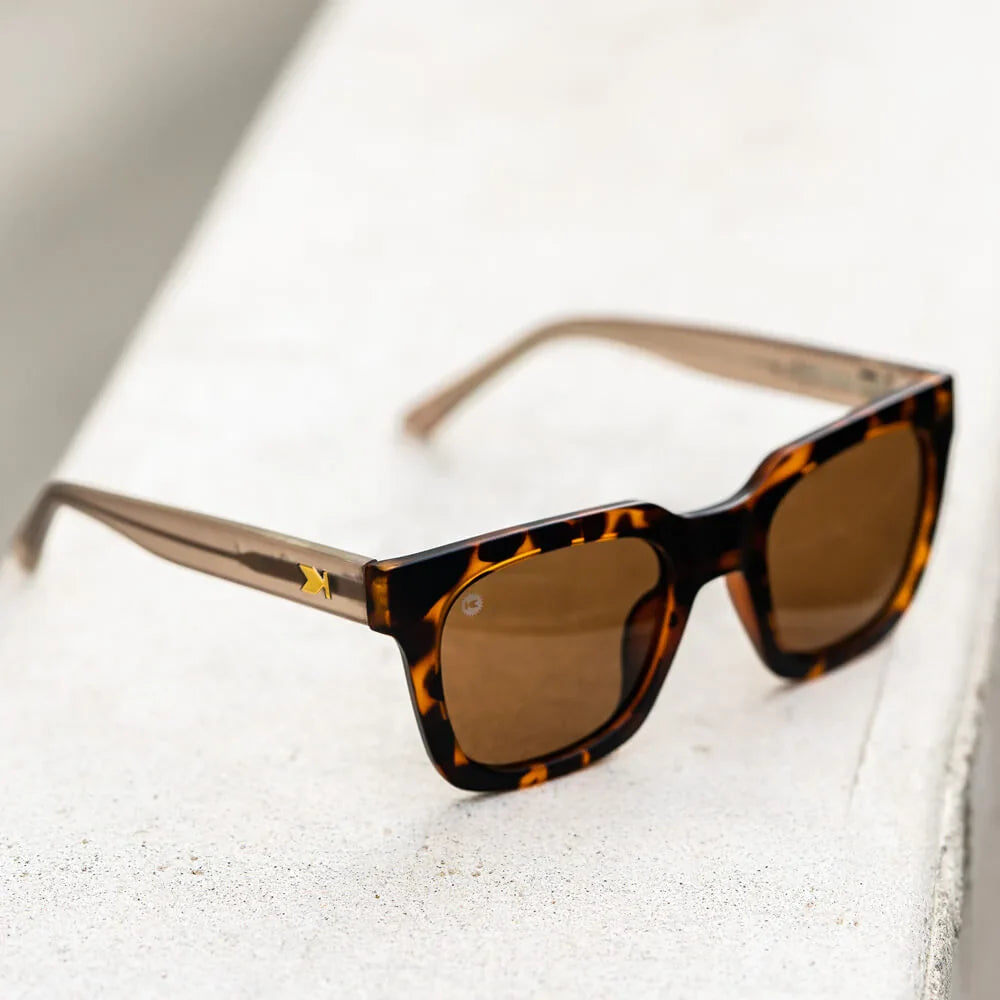 Sonoma Dawn Songbirds