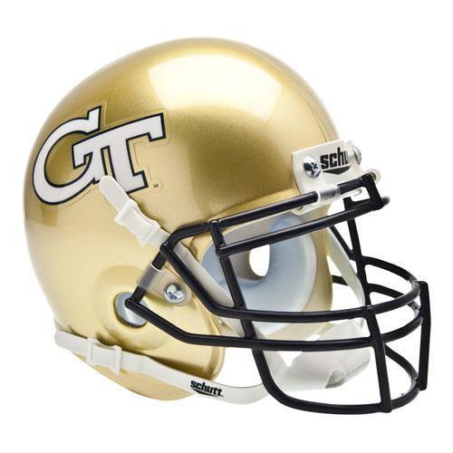 Georgia Tech Yellow Jackets College Football Collectible Mini Helmet - Picture Inside - FANZ Collectibles