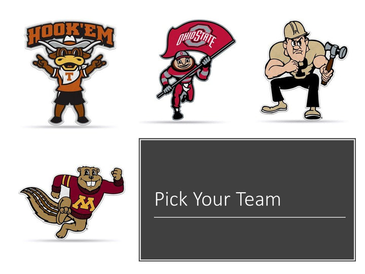 BYU Cougars Pennant Mascot Design 18 Inch Felt Brigham Young University