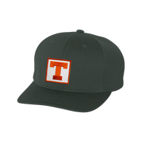 Texas Longhorns / Square Block T / FlexFit - 036