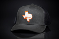 Texas Longhorns / Softball State of Texas / Curved Bill Mesh Snapback / 168 / UT9117