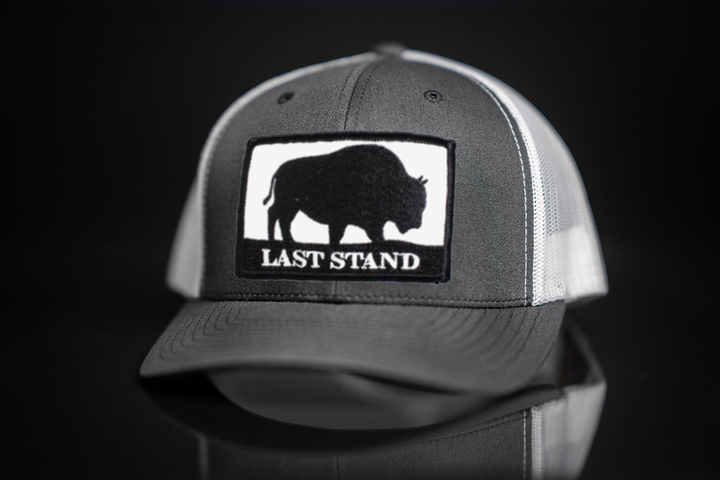 Last Stand Bison Logo Hats / 006 / MM