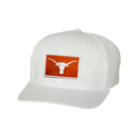 Texas Longhorns / Steer Head Burnt Orange / FlexFit - 030