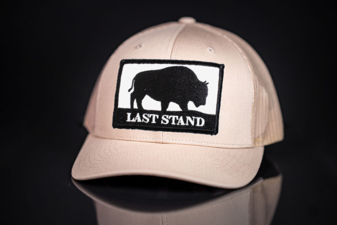 Last Stand Bison Logo Hats / 006 / MM