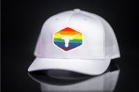 Texas Longhorns / Pride Longhorns Patch / Curved Bill Trucker / 122 / UT9095
