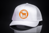 Texas Longhorns / Swimming and Diving / Curved Bill Mesh Snapback /The Goat / 038 / UT9023 - CT