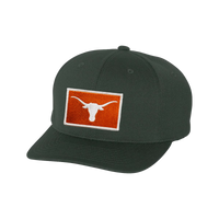 Texas Longhorns / Steer Head Burnt Orange / FlexFit - 030