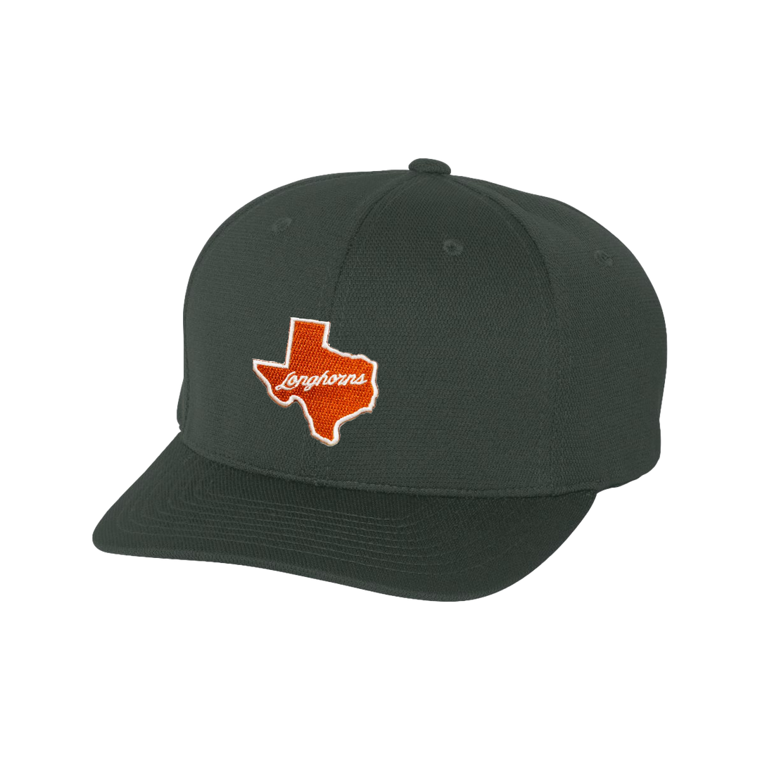 Texas Longhorns / Texas Longhorns Script / FlexFit - 087