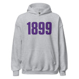 Tarleton State / 1899 / Unisex Hoodie / MM / TAR
