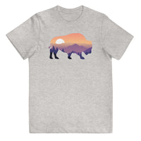 Last Stand / Bison Mountain Sunset / Youth jersey t-shirt / MM